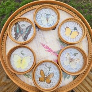 Vintage 1970's Interpur Bamboo Butterfly Tray & Coaster Set Taiwan Woven Rattan